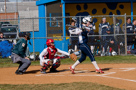 WHS Softball